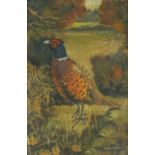 Esdaile Hudson - Pheasant, oil on canvas, framed, 29.5cm x 19.5cm : For Extra Condition Reports