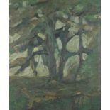 Study of a tree, impasto oil on canvas, bearing an indistinct signature possibly Turbact, mounted