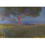 Impressionist landscape, watercolour and gouache, bearing a signature Carlandi and inscriptions