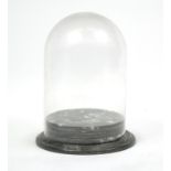 Glass dome with grey marble base, overall 40cm high : For Extra Condition Reports Please visit our