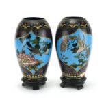 Pair of Japanese cloisonné vases raised on hardwood stands, each enamelled with birds of paradise