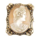 Antique unmarked gold black and white enamel cameo brooch, housed in a WW Goldstraw Hanley velvet
