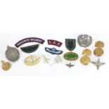 Military interest cap badges and cloth badges including SAS, Parachute Regiment and Argyll