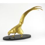 Large gilt painted Chinese pheasant raised on an oval black slate base, 55cm high : For Extra