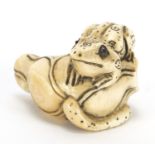 Japanese carved ivory netsuke of a frog on a flower, character marks to the base, 4.2cm wide : For