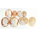 Eight cameo panels, the largest 4cm in length, approximate weight 38.0g : For Extra Condition