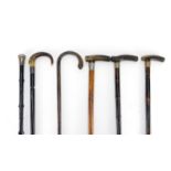 Group of six walking sticks, four with horn handles and three with silver mounts, the largest 97cm