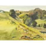 Janet Rawlins - Rural landscape, signed watercolour, mounted and framed, 35cm x 27cm