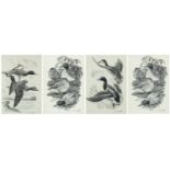 Charles Frederick Tunnicliffe - Ducks in flight and resting, set of four ink drawings mounted as