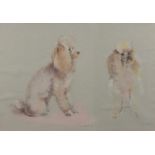 John Skeaping 1977 - Two poodles, pastel, mounted and framed, 65.5cm x 45cm : For Further