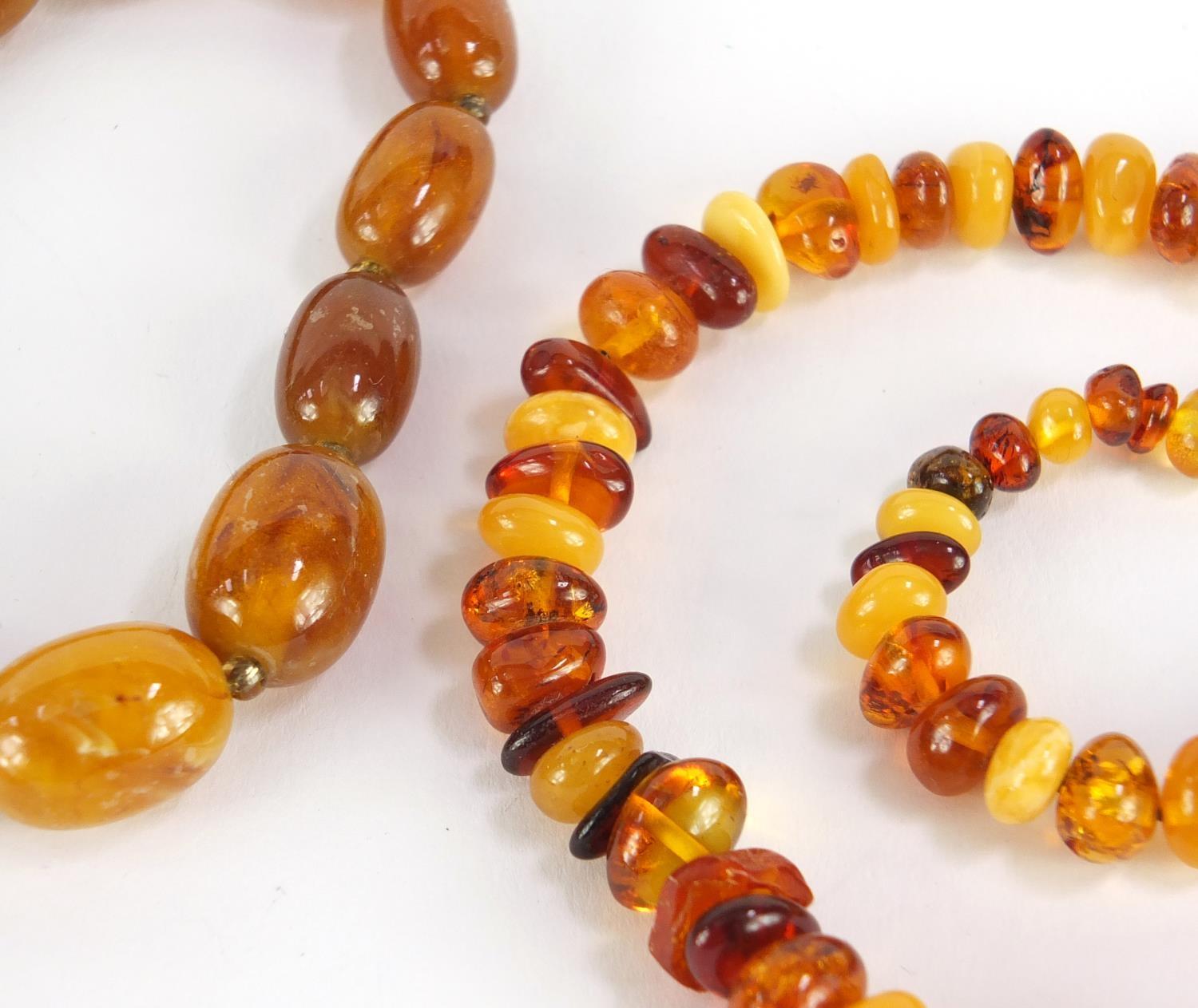 Three amber coloured bead necklaces and a bracelet, the largest 68cm in length, approximate weight - Image 6 of 6