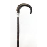 Horn handled bamboo walking stick with silver collar, the handle possibly rhinoceros horn 86cm in