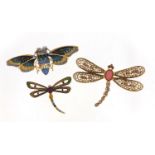 Two gilt metal enamel dragonfly brooches and a moth set with colourful stones, the largest 8cm