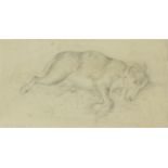 George Chinnery - Sleeping hounds, pencil drawing, mounted and framed, 27.5cm x 14.5cm : For Further