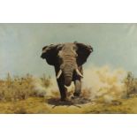 Brun - Charging elephants, signed oil on canvas, framed, 90.5cm x 60cm : For Further Condition
