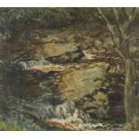 Maurcie Codner - Horseshoe Falls, River Dart, oil on canvas board, inscribed verso, framed, 39cm x