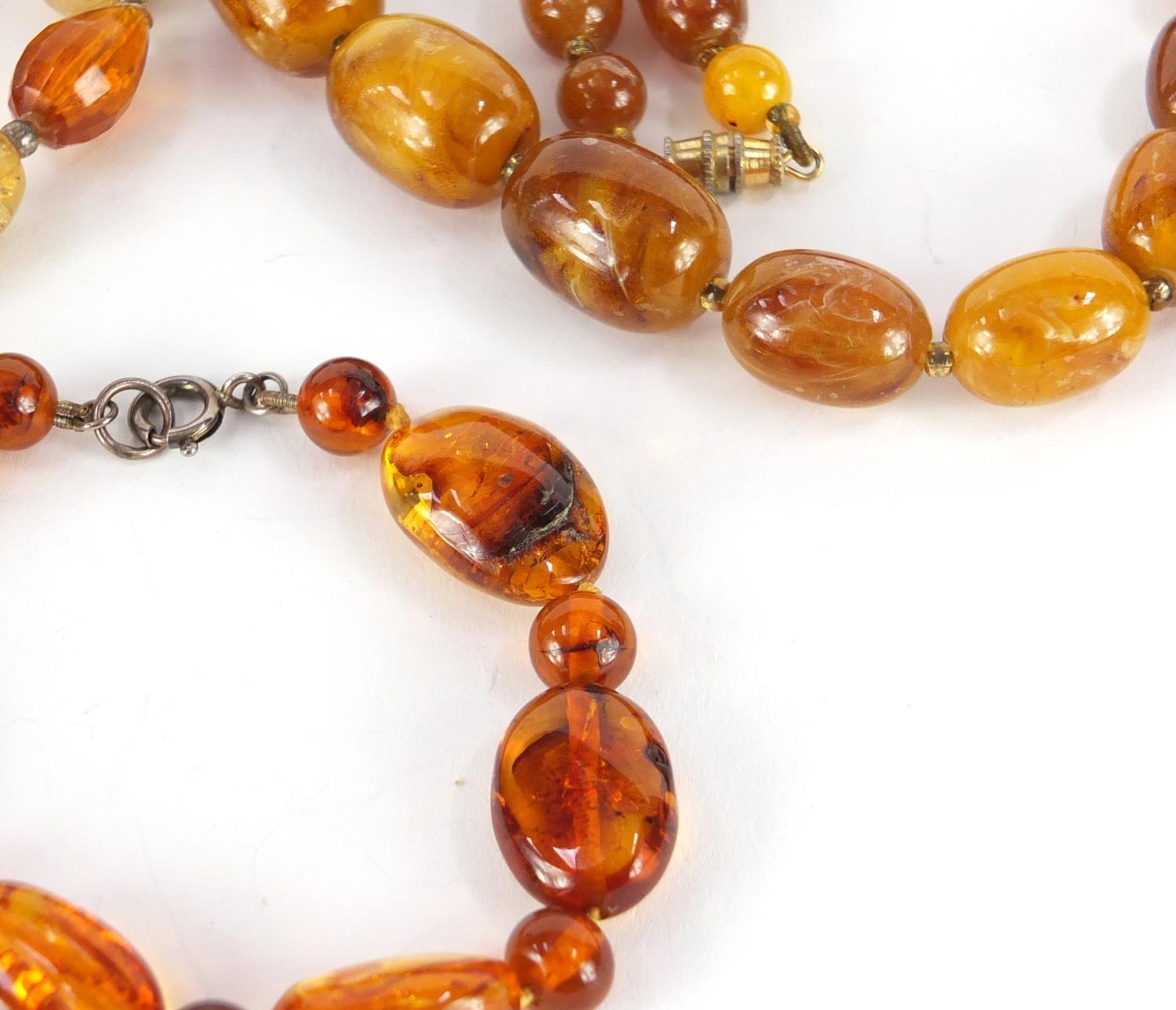 Three amber coloured bead necklaces and a bracelet, the largest 68cm in length, approximate weight - Image 4 of 6