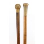 Two walking sticks with horn pommels, possibly rhinoceros horn, 89cm in length : For Further