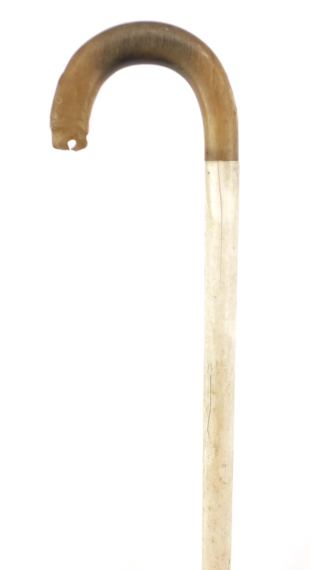 Rhinoceros horn handled walking stick with segmented ivory shaft, the handle carved in the form of a - Image 3 of 5