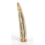 Scrimshaw style cribbage board in the form of a tusk, 31cm in length :For Further Condition