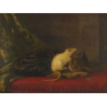 J M Pavkis ? 19th century oil on canvas white rat on a sleeping cat, mounted and framed, 37cm x 28cm