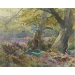 Henry Richard Beadon Donne - A study in the New Forest, England, watercolour, mounted and framed,