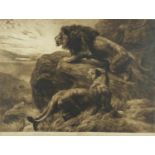 Herbert Dickson - Lion and lioness, pencil signed black and white etching, frost and reed 1900,