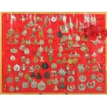 Display of Mostly British Military cap badges including South Lancashire, Royal Scots, The Kings