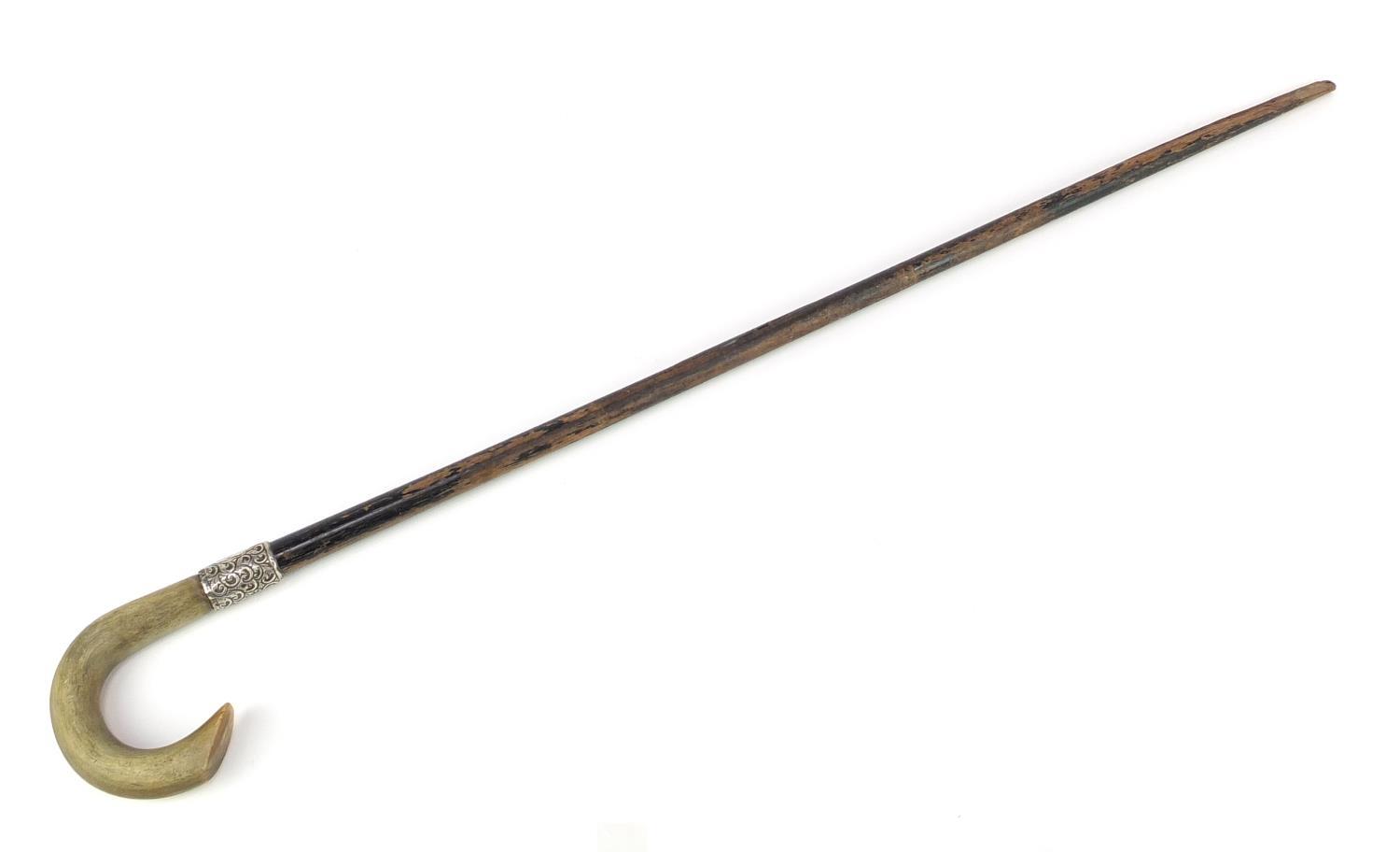 Horn handled walking stick with silver collar and ebonised shaft, probably rhinoceros horn, 81.5cm - Image 4 of 6