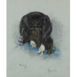 Marjorie Cox 1976 - Rosie, Pekinese dog, pastel, mounted and framed, 41cm x 33.5cm :For Further