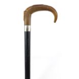 Horn handled walking stick with silver collar and ebonised shaft, probably rhinoceros horn, 97cm