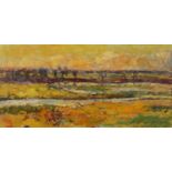 River landscape, impressionist oil on canvas, bearing an indistinct signature possibly A Pedtella,