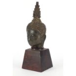 Thai patinated bronze head of a deity raised on a square tapering hardwood stand, overall 22cm