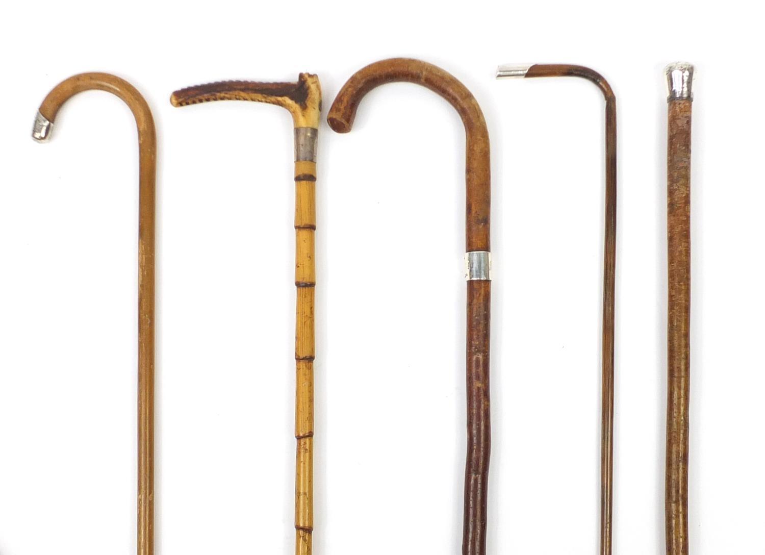 Four walking sticks with silver mounts and a Swain and Co silver mounted riding crop, the largest - Image 3 of 10