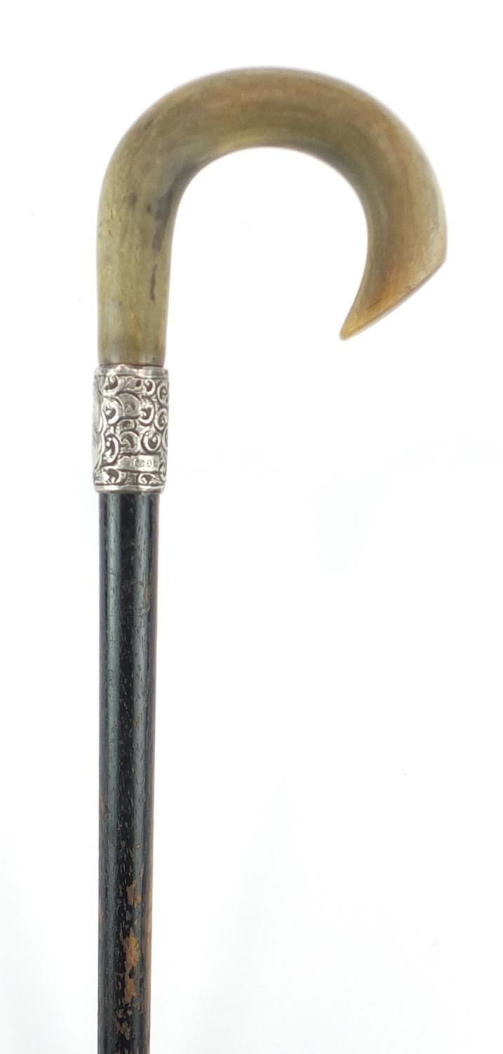 Horn handled walking stick with silver collar and ebonised shaft, probably rhinoceros horn, 81.5cm