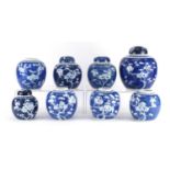 Eight Chinese blue and white ginger jars, four with covers, each hand painted with prunus flowers