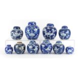 Ten Chinese blue and white porcelain ginger jars eight with covers, each hand painted with prunus