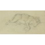George Chinnery - Sleeping hounds, pencil drawing, mounted and framed, 27.5cm x 14.5cm :For