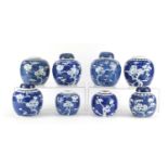 Eight Chinese blue and white porcelain ginger jars, four with covers, each hand painted with