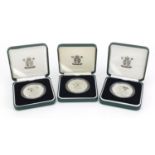 Three Britannia one ounce silver proof two pound coins with fitted cases comprising dates 2005, 2006