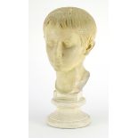Plaster bust of a young male, 43.5cm high :For Further Condition Reports Please Visit Our Website.