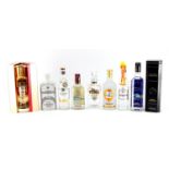 Eight bottles of Russian vodka including Parliament International and Putinka limited edition :For