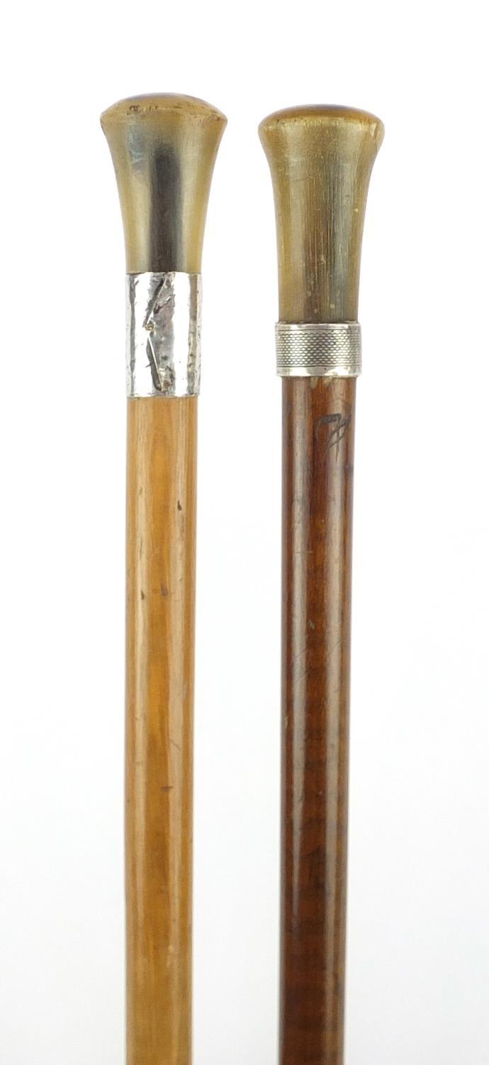 Two horn handled walking sticks with silver collars, probably rhinoceros horn, the largest 93cm in