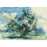 William Dennis Dring 1934 - Tree in a field, signed watercolour and wash, Agnew's label verso,