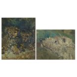 Dogs head and two seated dogs, two impressionist oils, both framed, the largest 25.5cm x 20.5cm :For