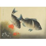 Ohno Bakafu - Black Sea Bream, Japanese wood block print, mounted and framed, 38.5cm x 26.5cm :For