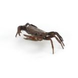 Large Japanese bronze crab, 11.5cm wide :For Further Condition Reports Please Visit Our Website.