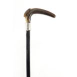 Horn handled walking stick with silver collar and ebony shaft, possibly rhinoceros horn, 90cm in