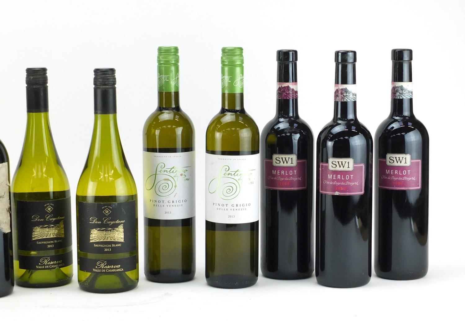 Eleven bottle alcohol comprising a bottle of Corney and Barow sherry, Bredon Champagne, Merlot, - Image 3 of 4