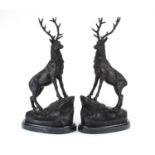 Pair of patinated bronze stags on shaped marble bases,signed J Moigniez, each 44cm high :For Further